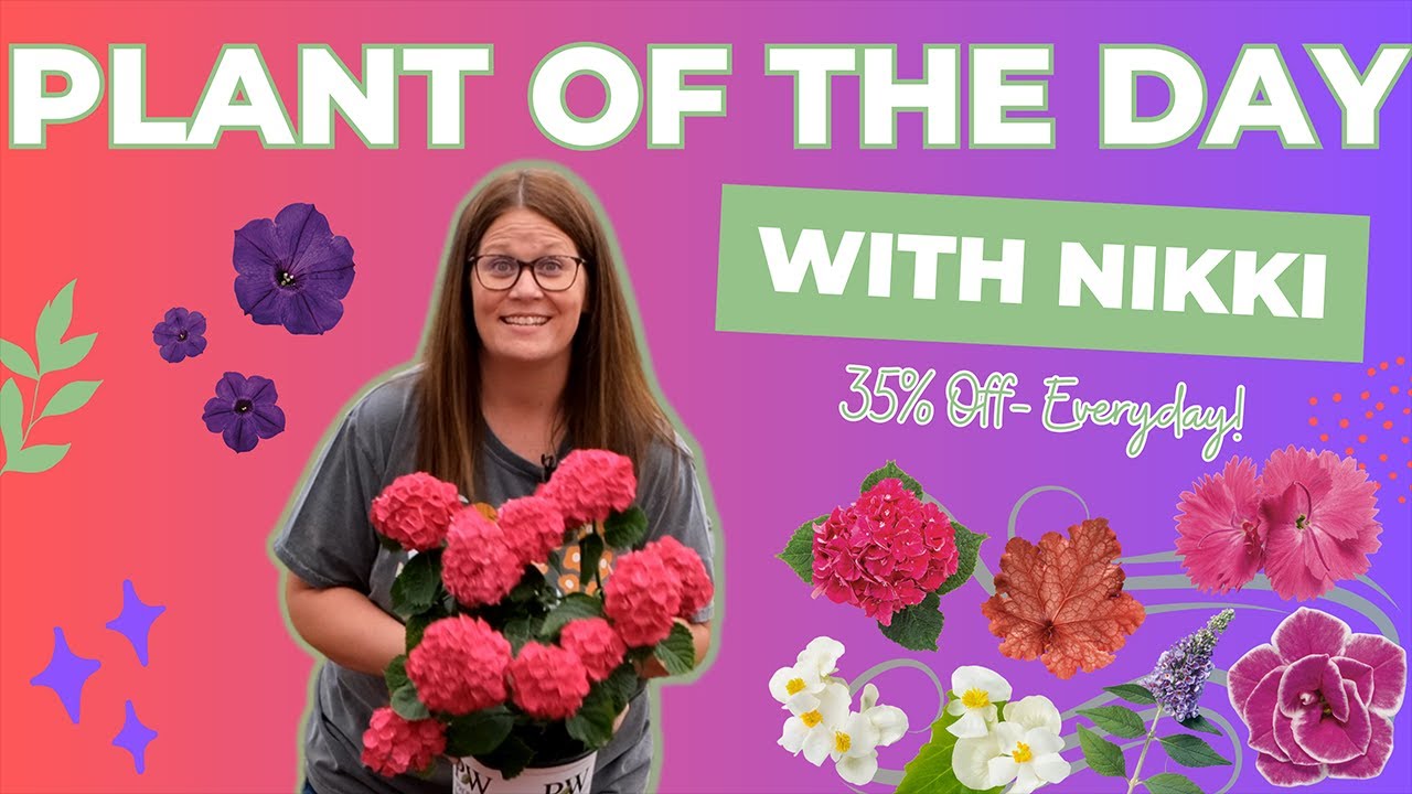 Plant Of The Day: June 19 - June 25 (Now 35% Off)