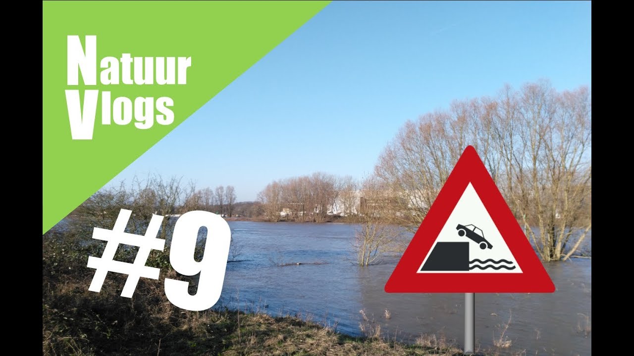 NatuurVlog #9 - Wat is een uiterwaard?