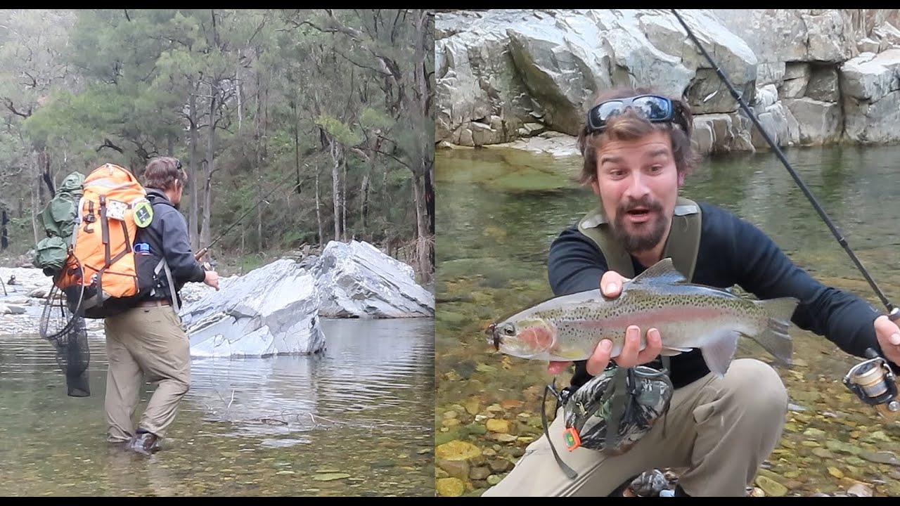 A Wild & Beautiful Australian Trout Stream (My Happy Place)