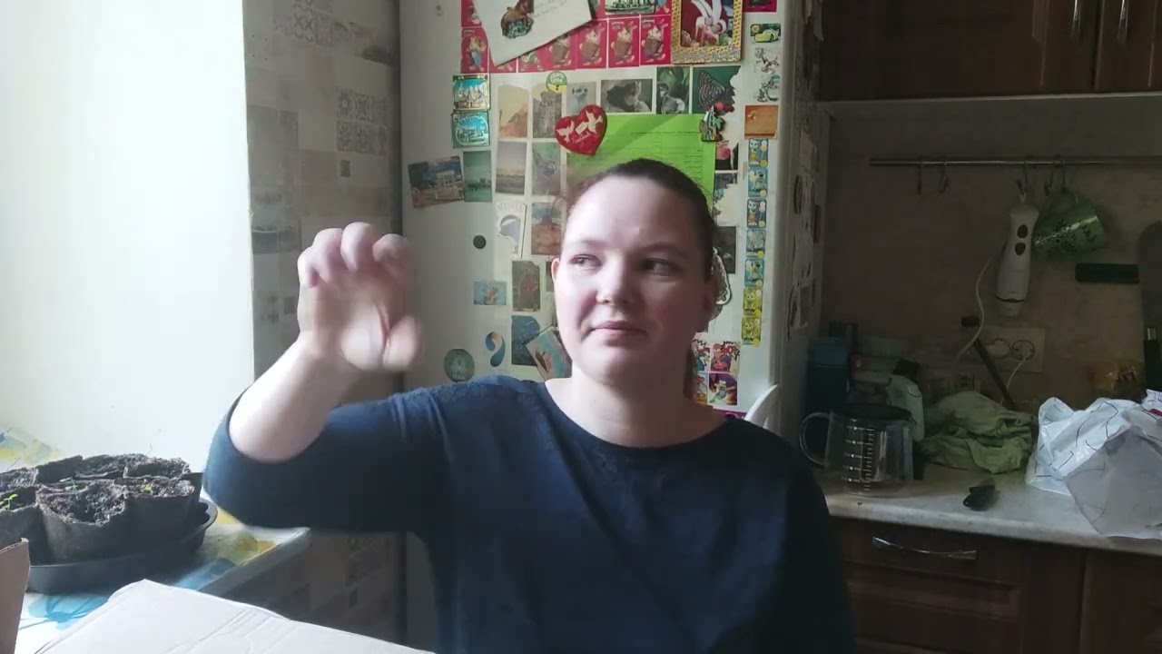 пакеты   avon 20 05