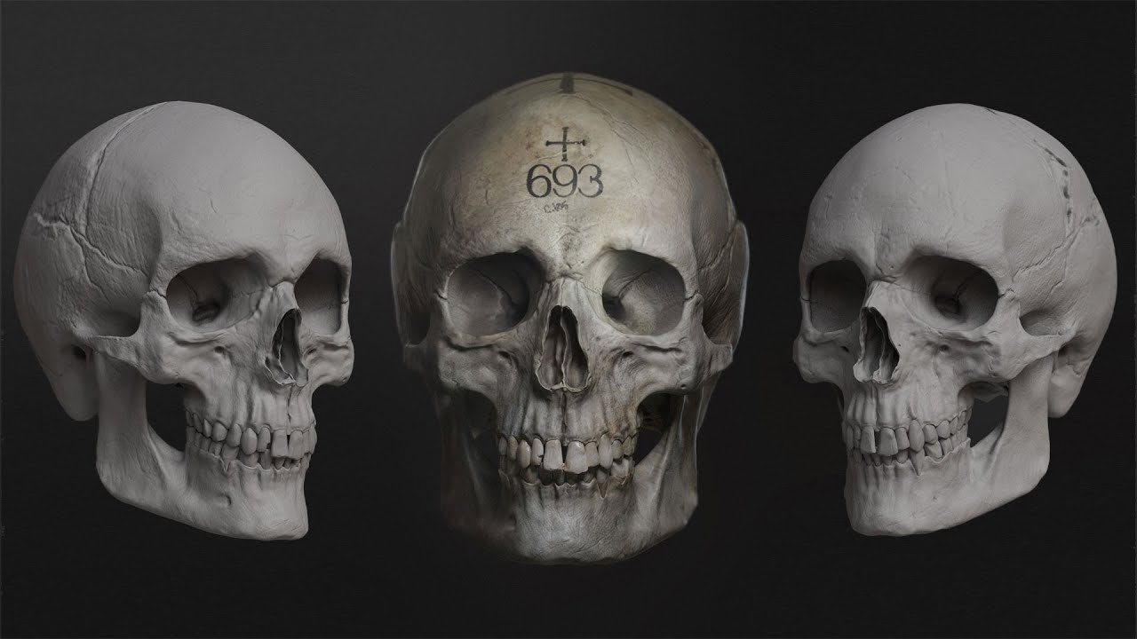 Sculpting the Human Skull With John William Crossland