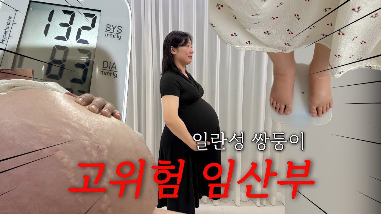 일란성쌍둥이 고위험산모의 마지막 임신 vlog✨