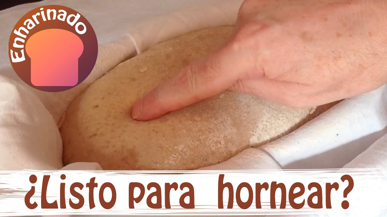 Punto de fermentaci&oacute;n &oacute;ptimo para hornear un pan - www.enharinado.com