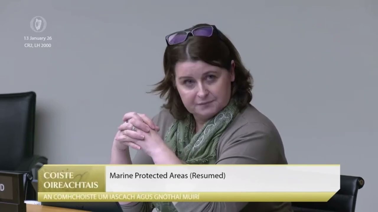 Deputy Jennifer Whitmore's  personal attack on Irish fishing industry representative Patrick Murphy