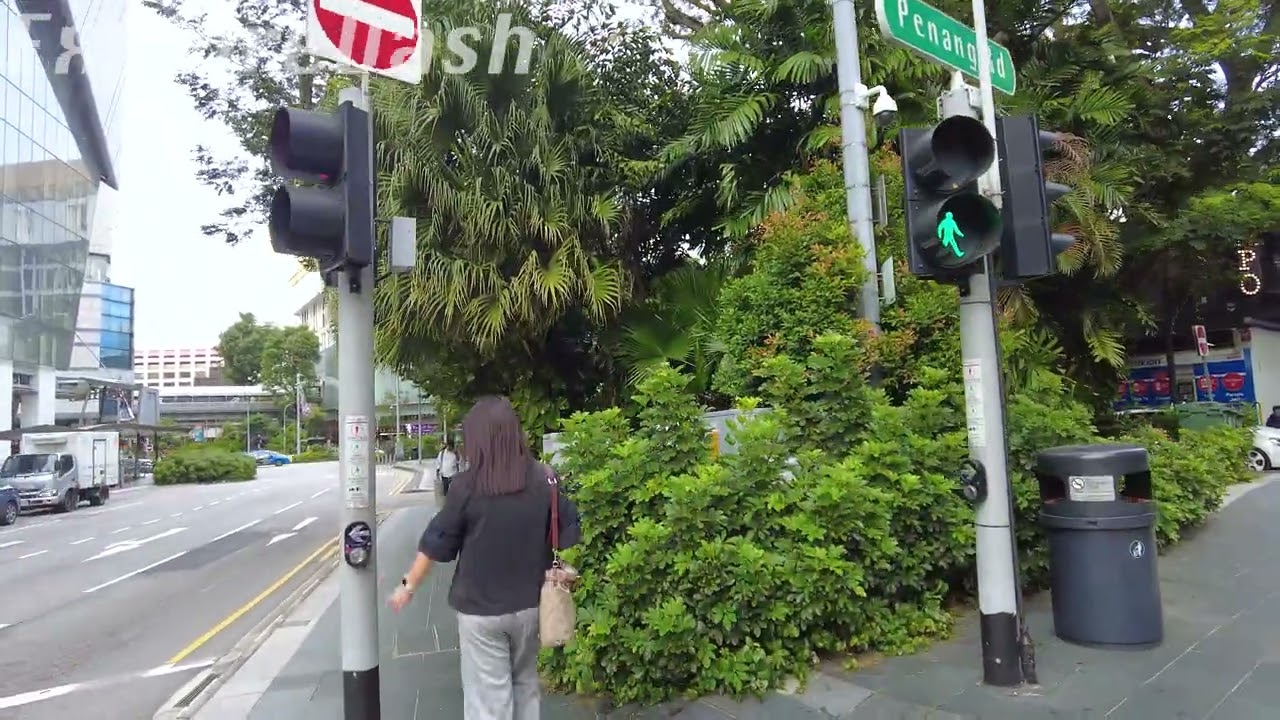 [4K Singapore Walk] Winsland House Bus Stop to DON DON DONKI Orchard Central