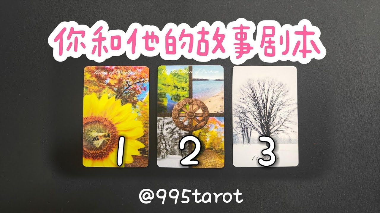 你和他的故事劇本。【過去/現在/近期/終局】 緣分深淺，相遇意義   |曖昧|愛情|感情|桃花|塔羅占卜|