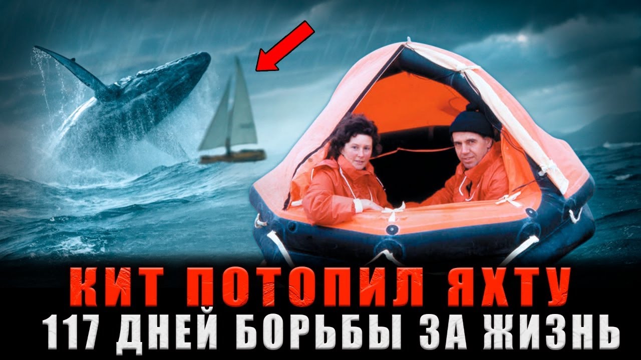 СМЕРТЕЛЬНЫЙ УДАР ИЗ ГЛУБИНЫ: Кит потопил их яхту и начались 117 дней АДА