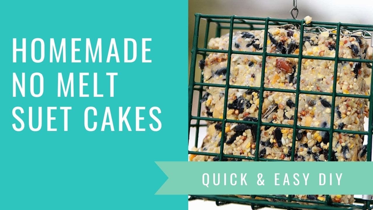 DIY Suet Cakes