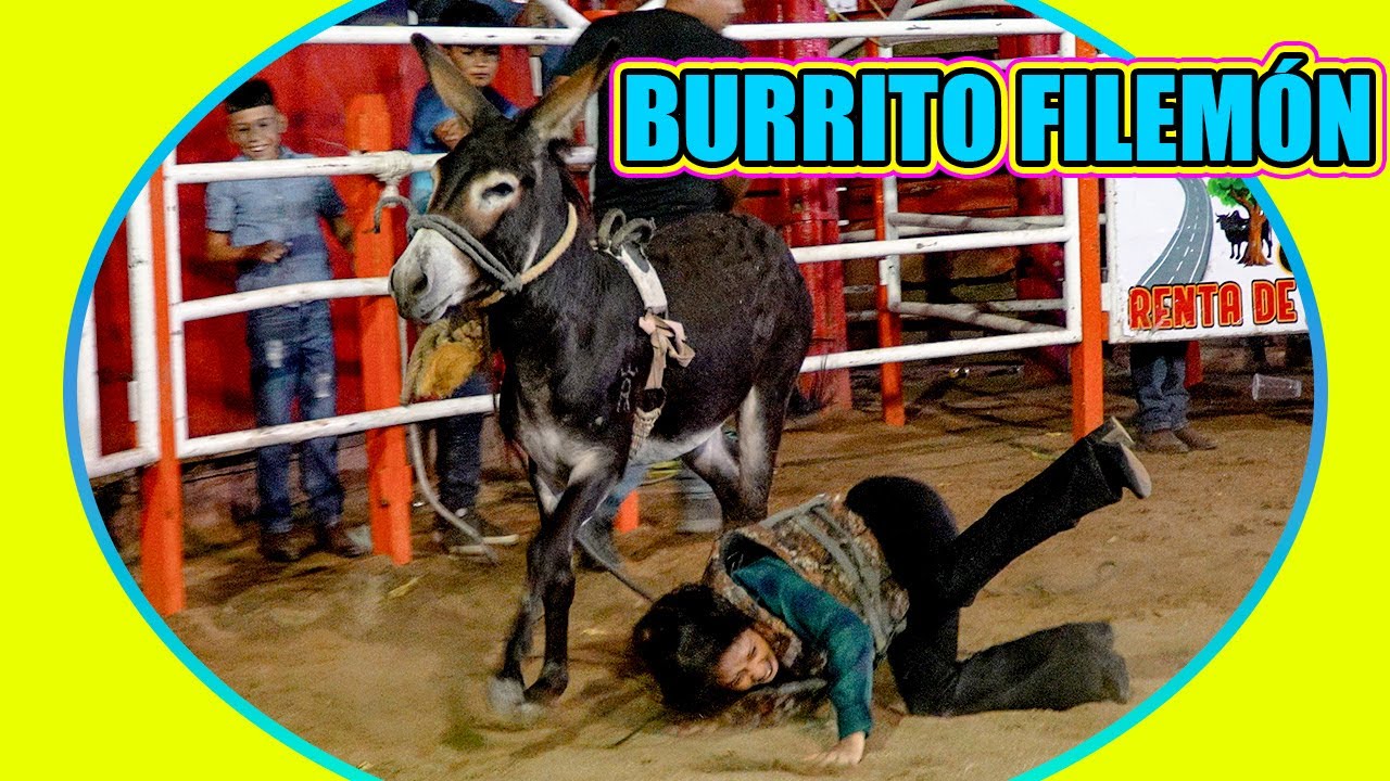 El BURRITO LOCO