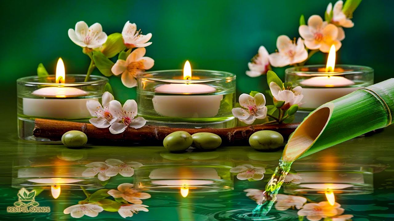 Relaxing Music Relieves Stress, Deep Sleeping Music, Water Sounds, Meditation Music, Bamboo, Calming
