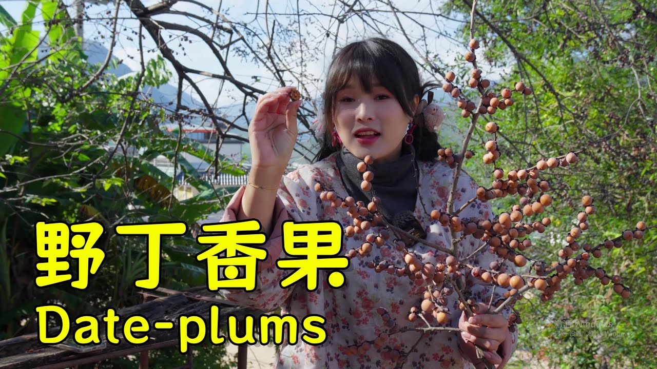 和家人一起分享儿时爱吃的野丁香果！【叫我阿霞Channel】