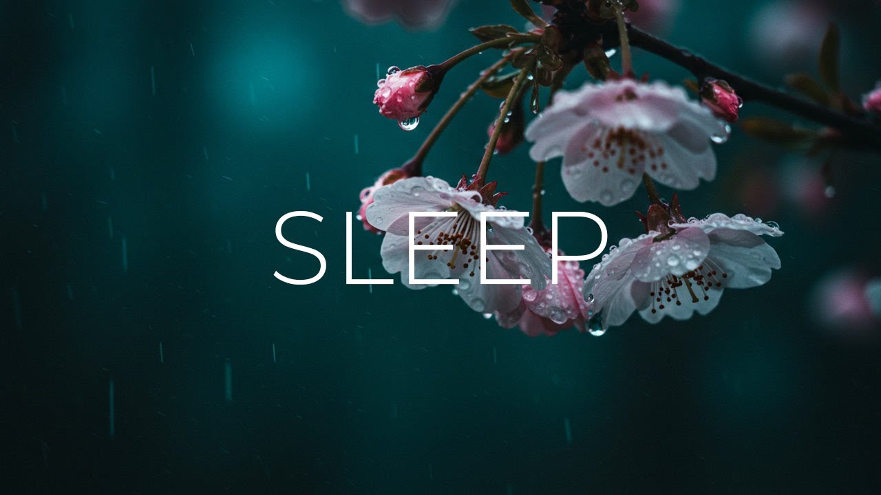 Relaxing Guitar Melodies & Nature's Calm 🌼🌧️ Acoustic Music for Sleep & Stress Relief