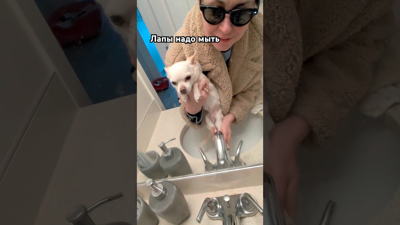 Лапы надо мыть #блогер