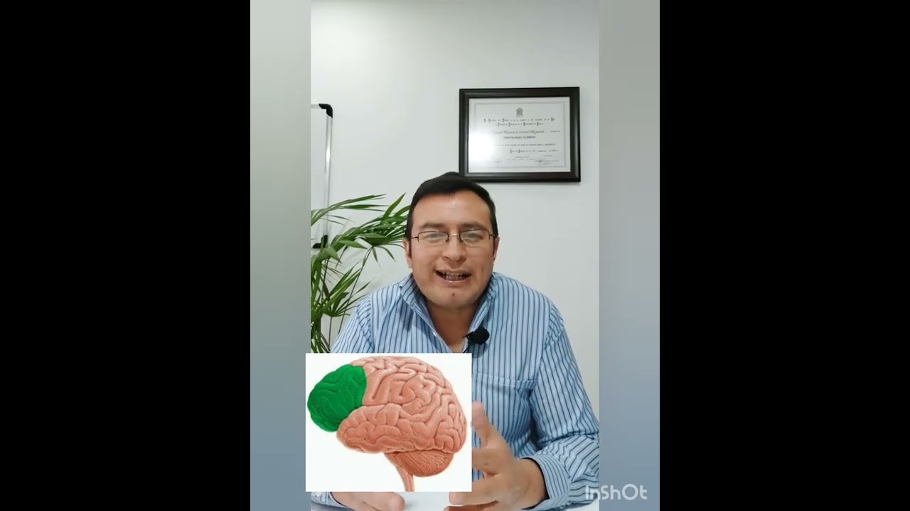 La inteligencia l&iacute;mite o lim&iacute;trofe y su repercusi&oacute;n social. La discapacidad intelectual.