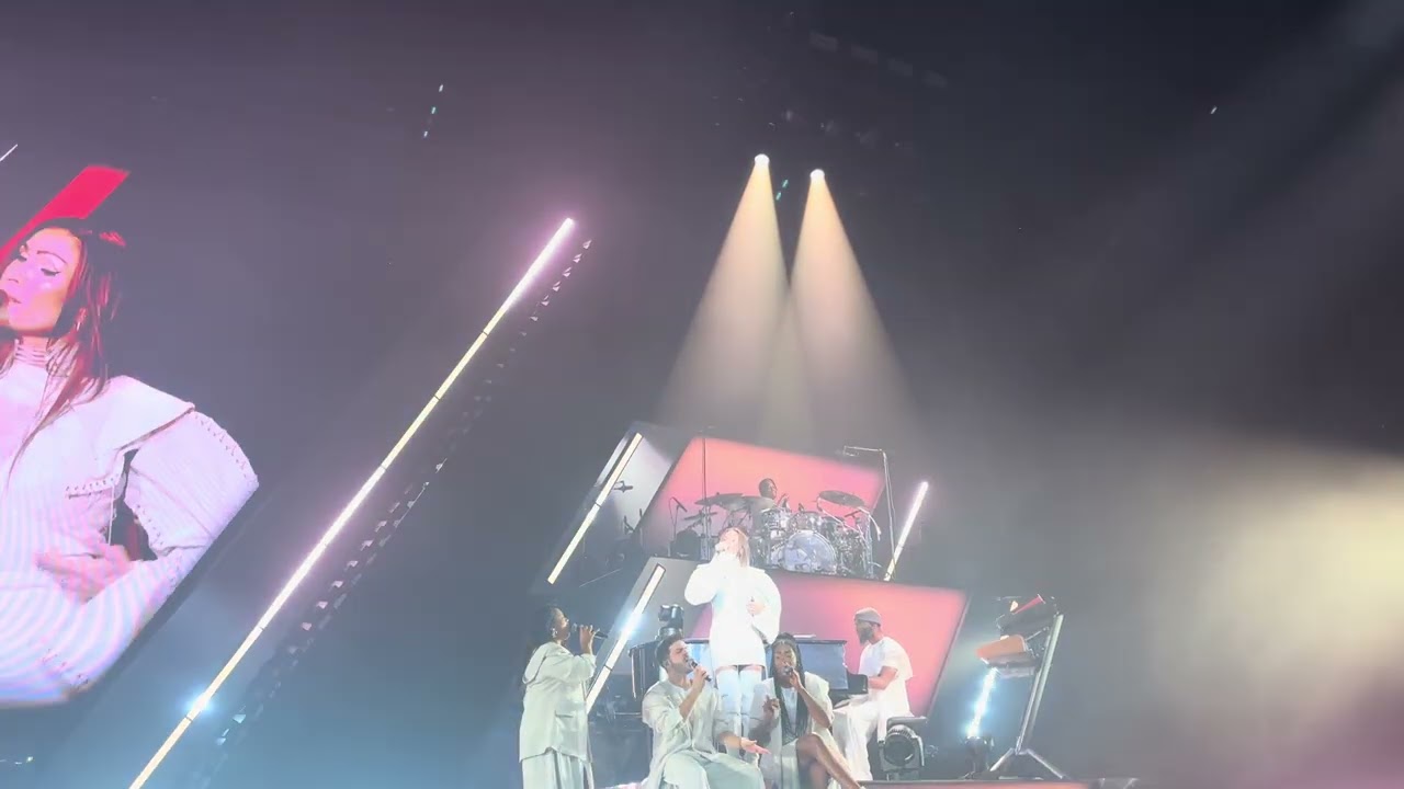 Vitaa L.I.H.A.M Live Vitaa la tournée Lille Zénith 2025