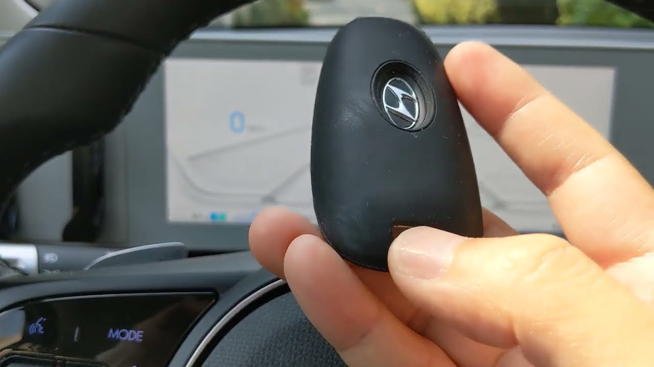 How to enable dog mode for the Hyundai Ioniq 5