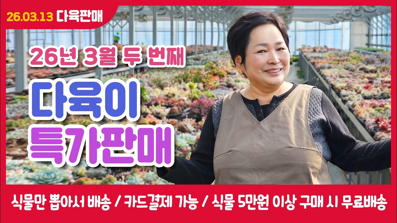 2026년 3월 두 번째 다육특가판매[2026.03.13]