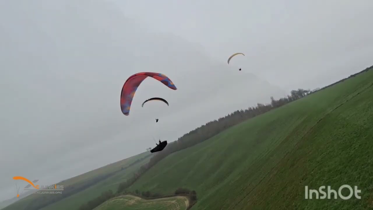 Foggy Whitewool, -  March 7th, 2026 - Roman z XcJunkies