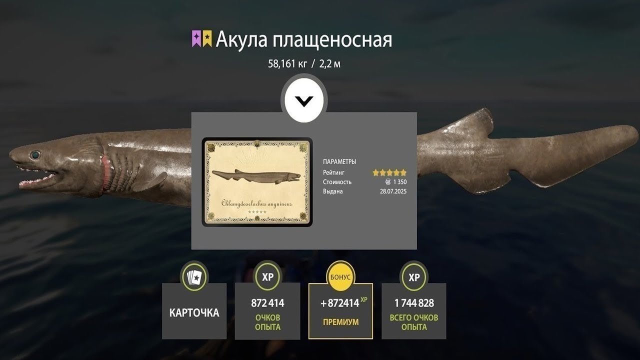 📢СТРИМ РР4🔥ПЯТНИЦА. ДОБРОЕ  НОРВЕЖСКОЕ УТРО🔥РУССКАЯ РЫБАЛКА 4