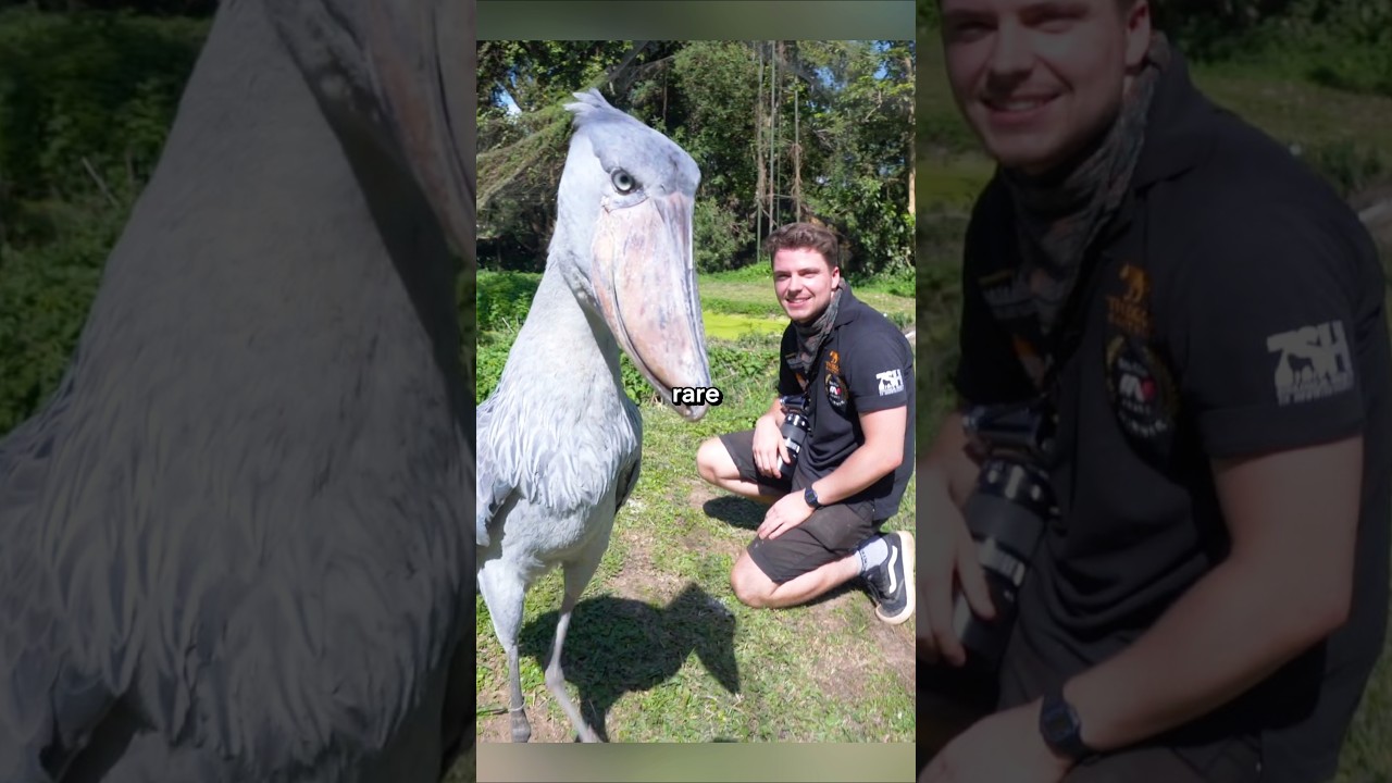 Rare Photos You&rsquo;ve Never Seen Before [Part 283]