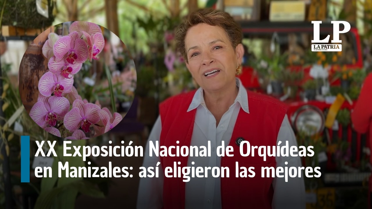 XX Exposición Nacional de Orquídeas en Manizales: así eligieron las mejores de la edición 2026