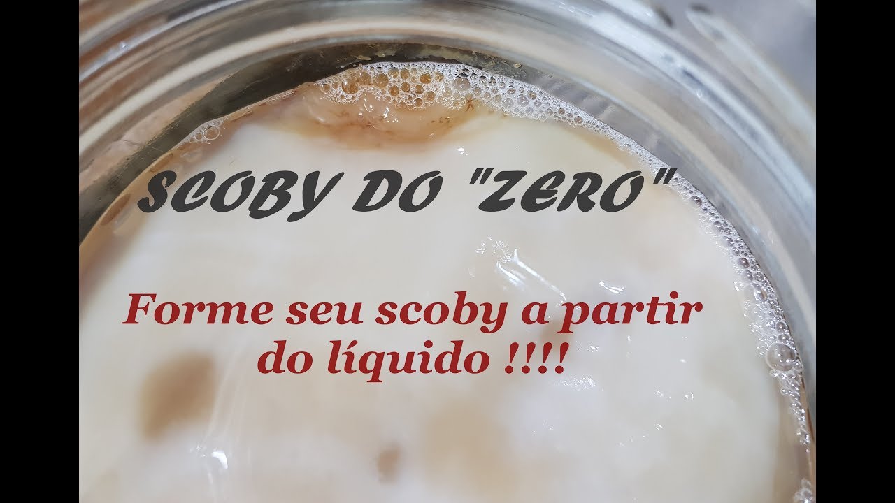 KOMBUCHA #5 SCOBY !!! FORME A PARTIR DA BEBIDA