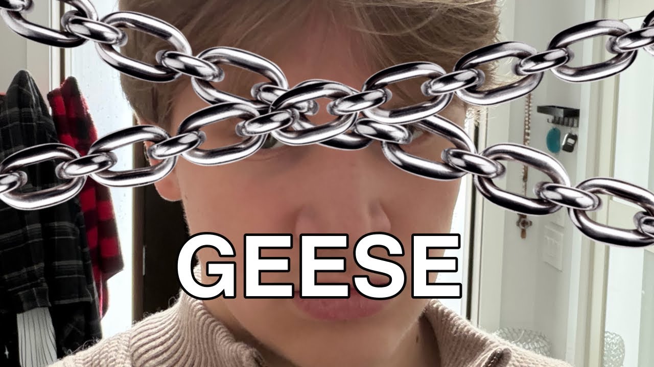 I Ranked EVERY SINGLE Geese Song
