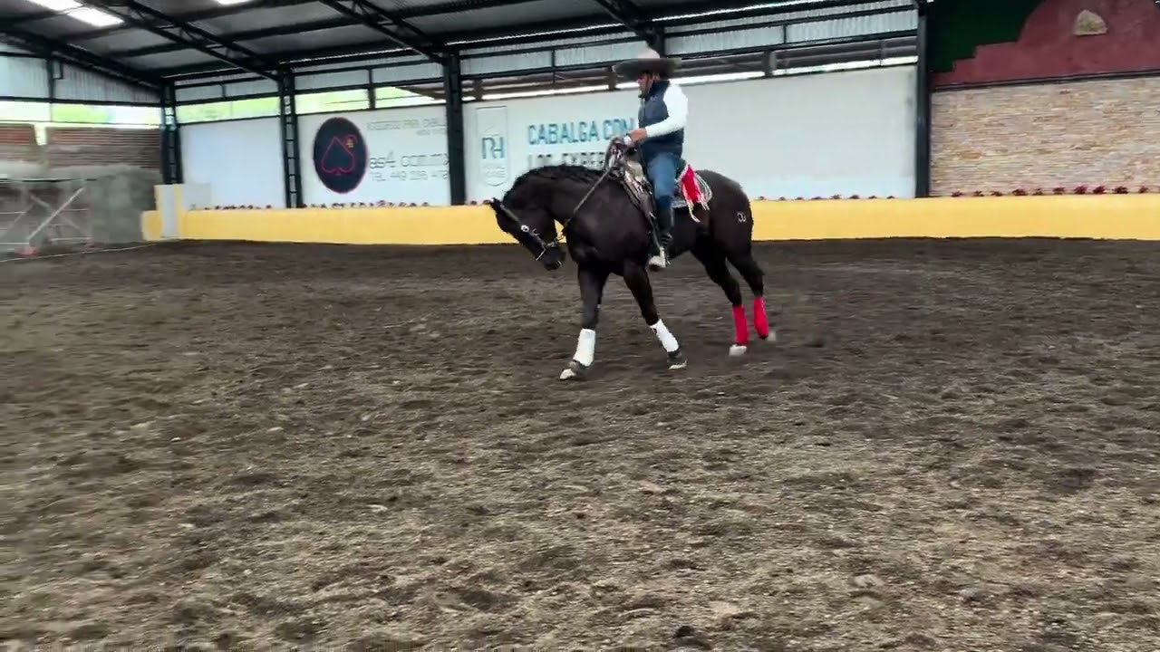 VISITA A CUCO RAYA PARTE 1