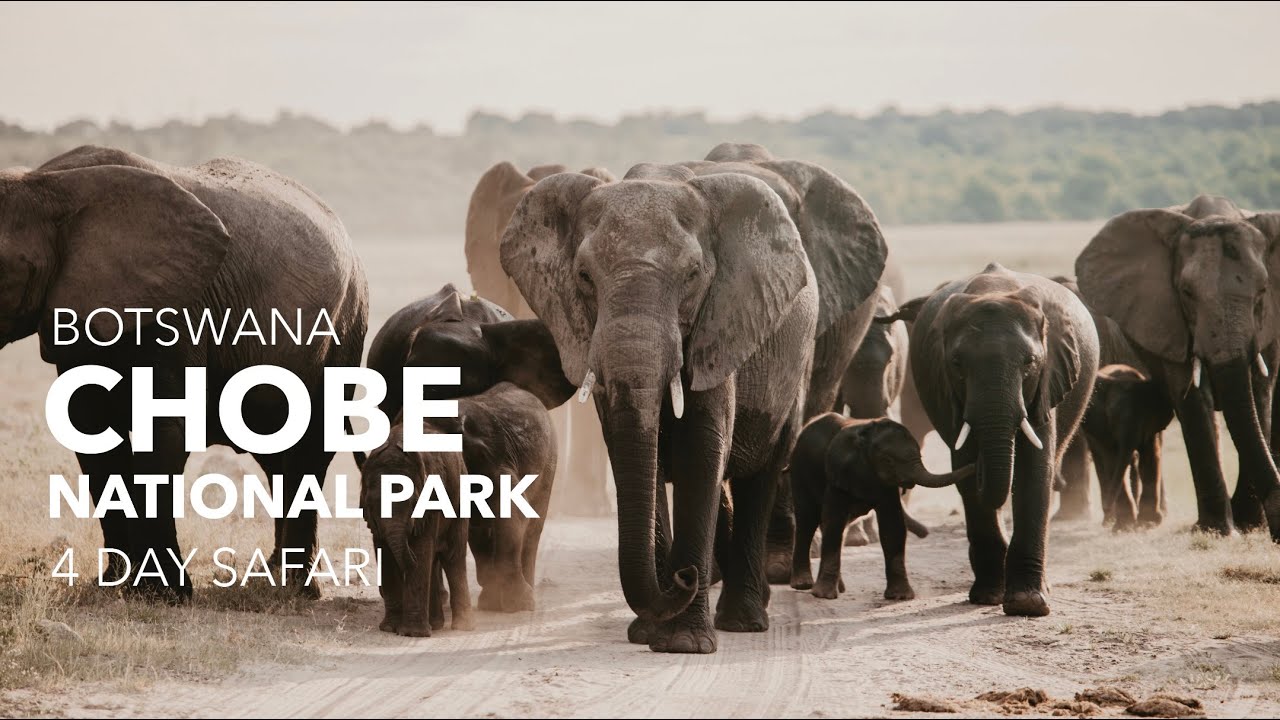 Botswana Chobe National Park: The Land of a Million Elephants (photography vlog)