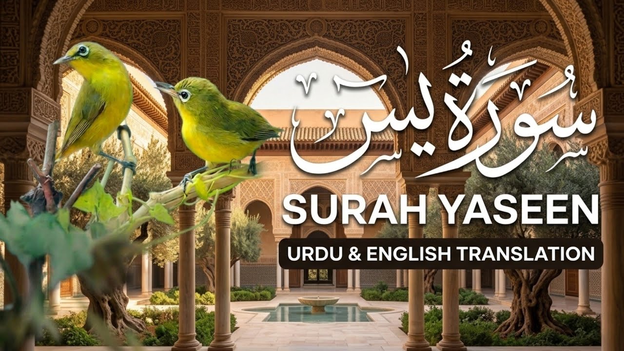 Surah Yaseen by Sheikh Mishari Alafasy Beautiful Quran Recitation Quran Arabic