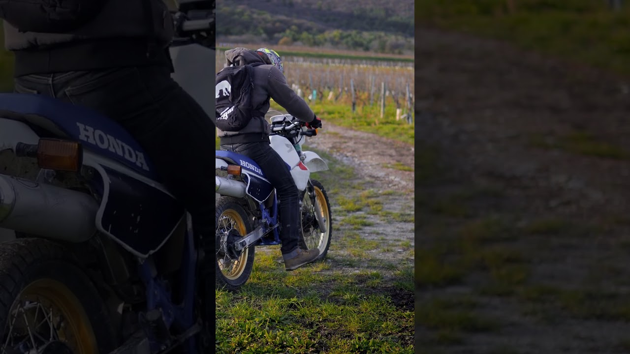 Honda XL 600 RM enfin fonctionnelle!! (Moche, mais fonctionnelle)