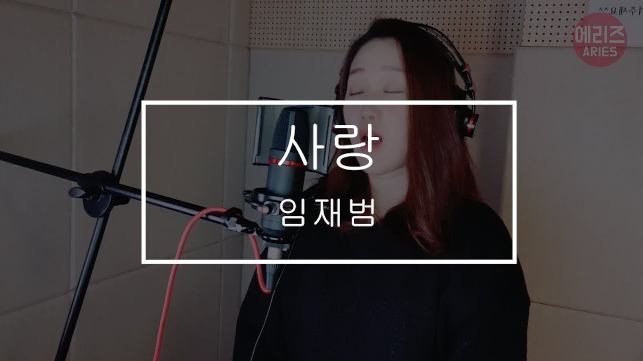 사랑(시티헌터OST)  임재범 라이브