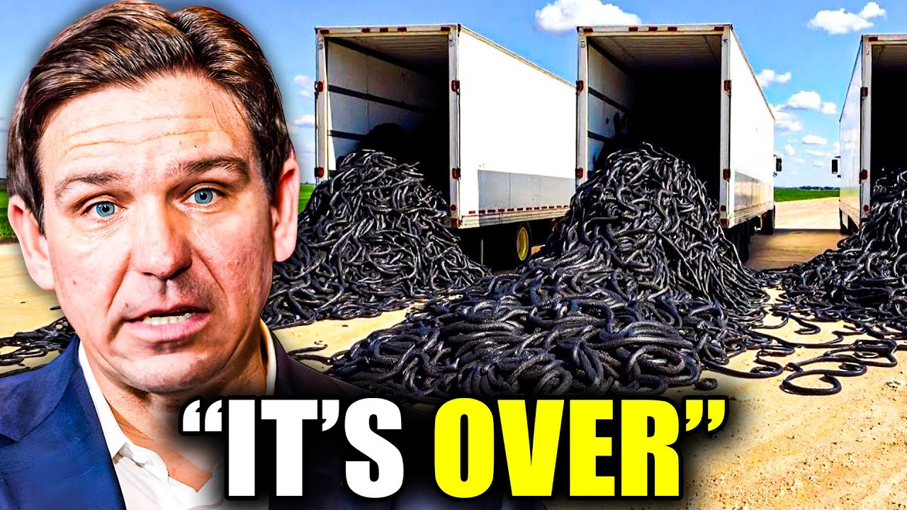 Florida Was LAUGHED At for Fighting Snakes With Snakes &mdash; Now the Results Are STUNNING