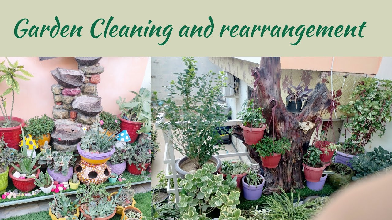 Garden Cleaning And Arrangement After Stormy Rain, Rearrangement of terrace garden, Decor Ideas