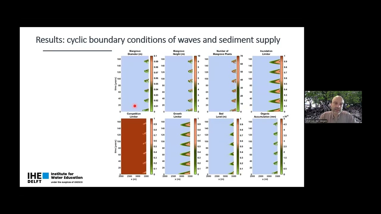 IHE Delft 💧 Alumni Online Seminar ‘Understanding Mangrove Coasts for a Climate-Resilient Future’