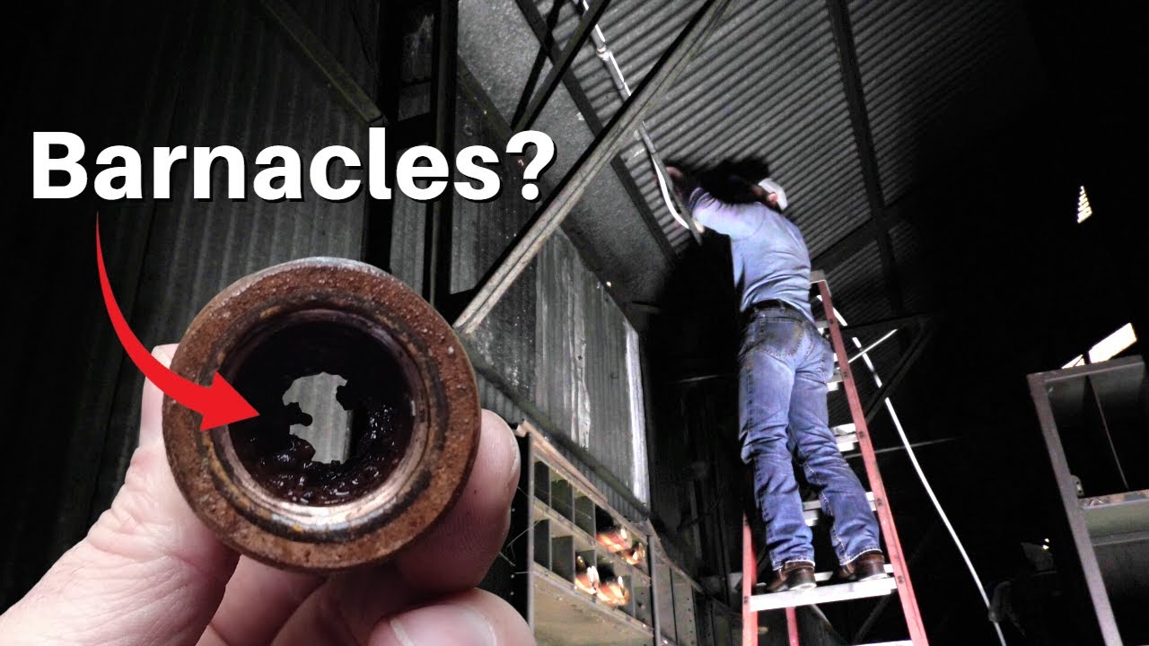 Replacing a 100 Year Old Water Line at the Old Foundry