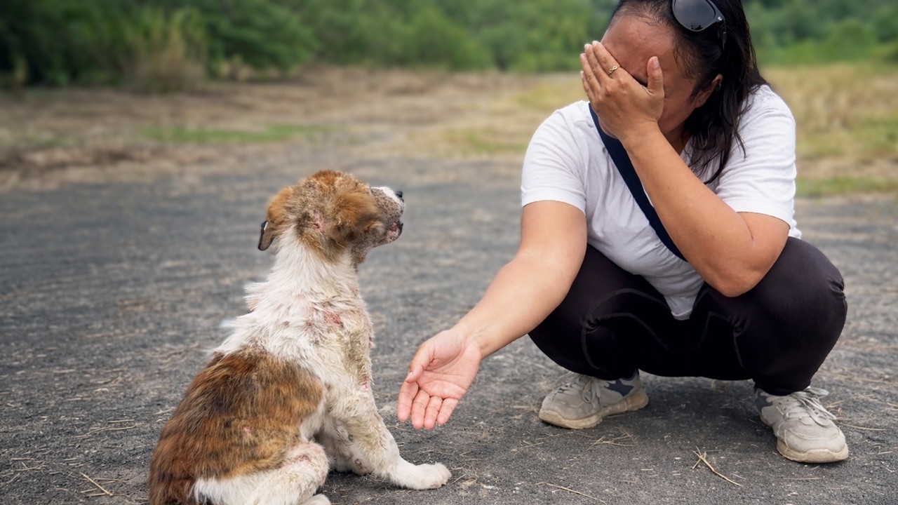 This Puppy Looked at Her Innocently… And She Broke Down Crying