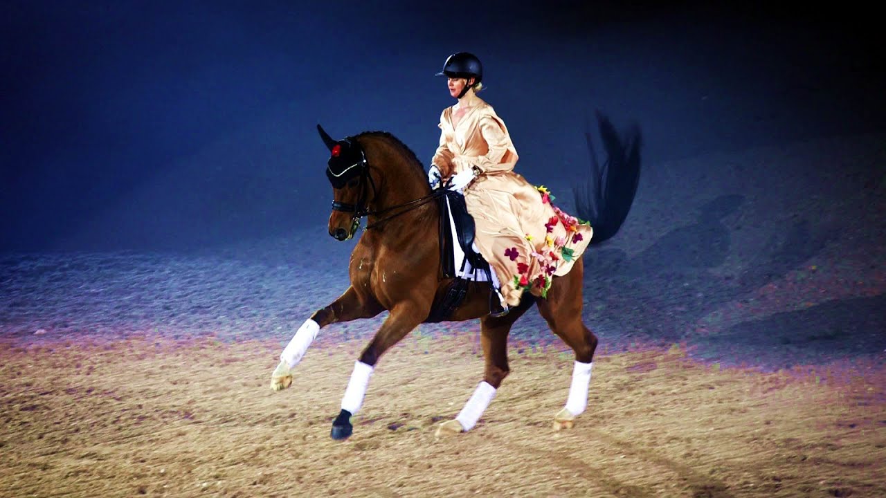 Dansk Varmblod gallashow 2022