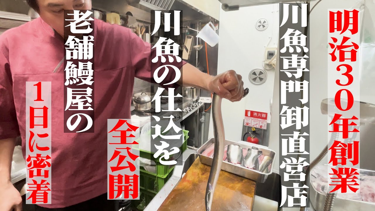 【明治30年創業】川魚の仕込みを全公開　川魚専門卸直営店　老舗うなぎ屋の1日に密着・ランチ編　まんまる本店