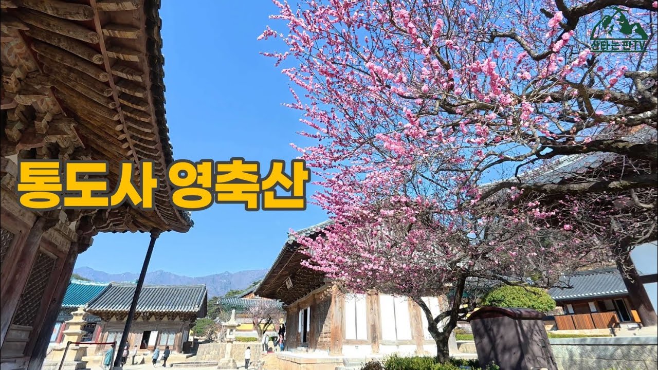 통도사 영축산(통도사, 금강계단, 백운암, 함박등, 영축산, 평산책방 코스) 