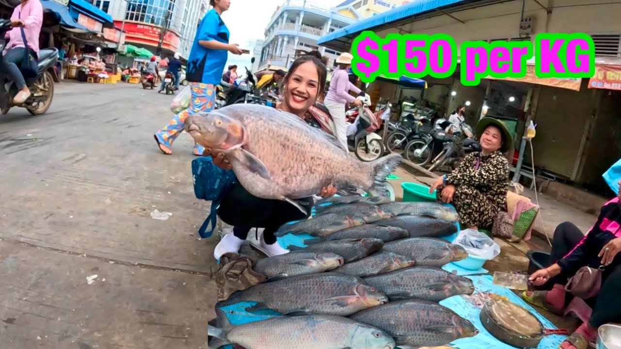 Visited The Most Expensive Fish Market In Stoeung Streng
