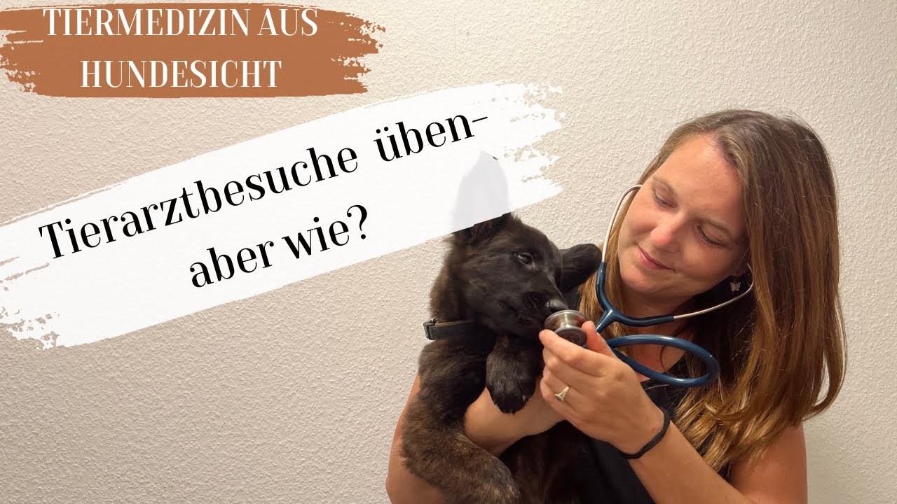 Tierarztbesuche üben- aber wie?