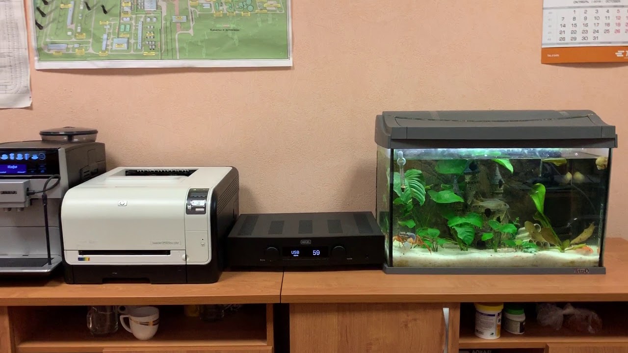 Dynaudio Confidence C1, Hegel Rost - Guns N' Roses 