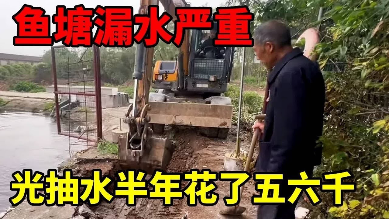 接到粉丝求助，鱼塘漏水严重，光抽水半年花了五六千。#鱼塘堵漏 #堵漏圣手#挖掘機 #挖掘機日常 #生活vlog #挖机