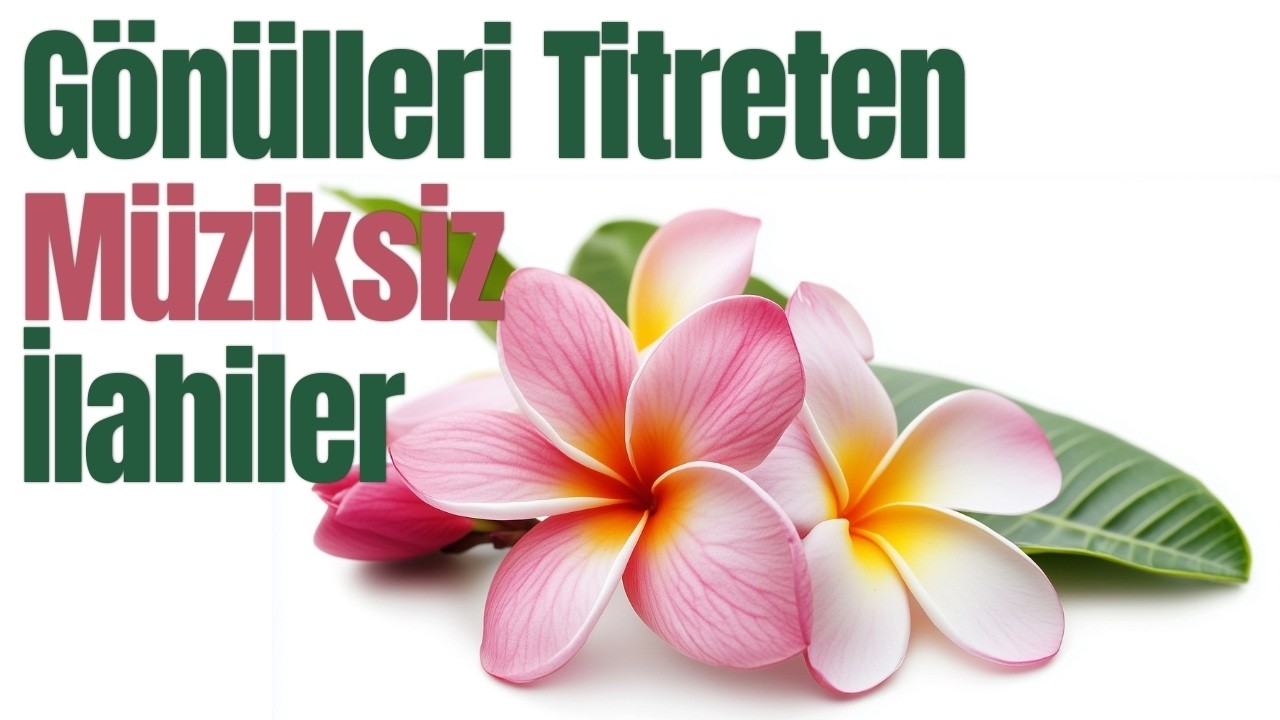 Gönülleri Titreten Müziksiz İlahiler | Ramazan'a Özel En Güzel Müziksiz İlahiler | Hayırlı Cumalar