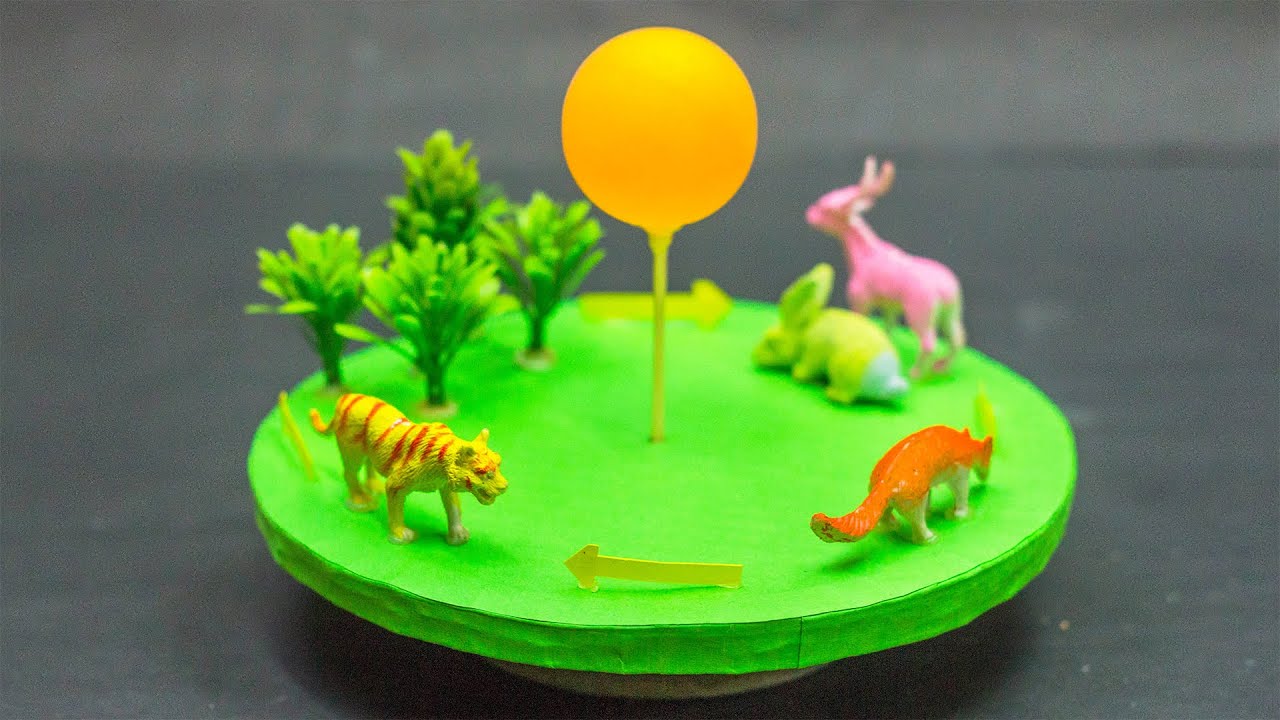 Science Projects | Food Chain Working Model
