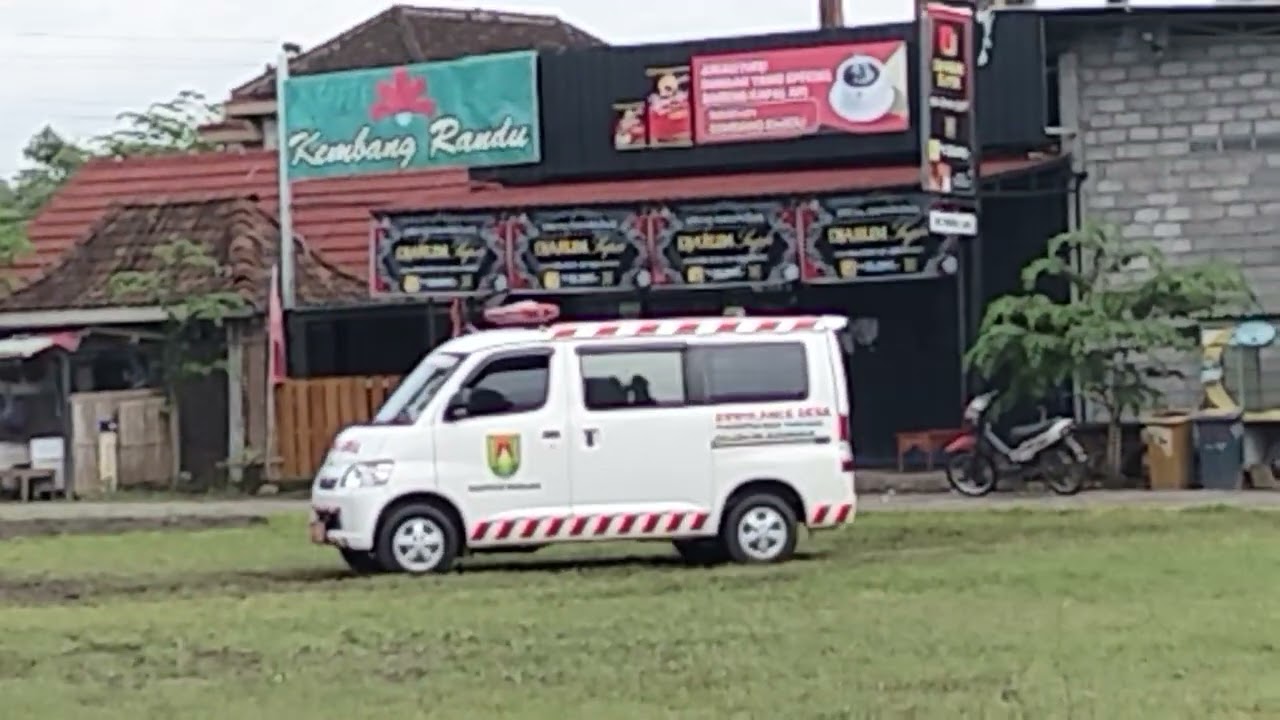 Penebangan Pohon Randu Alas Dihentikan Dulu