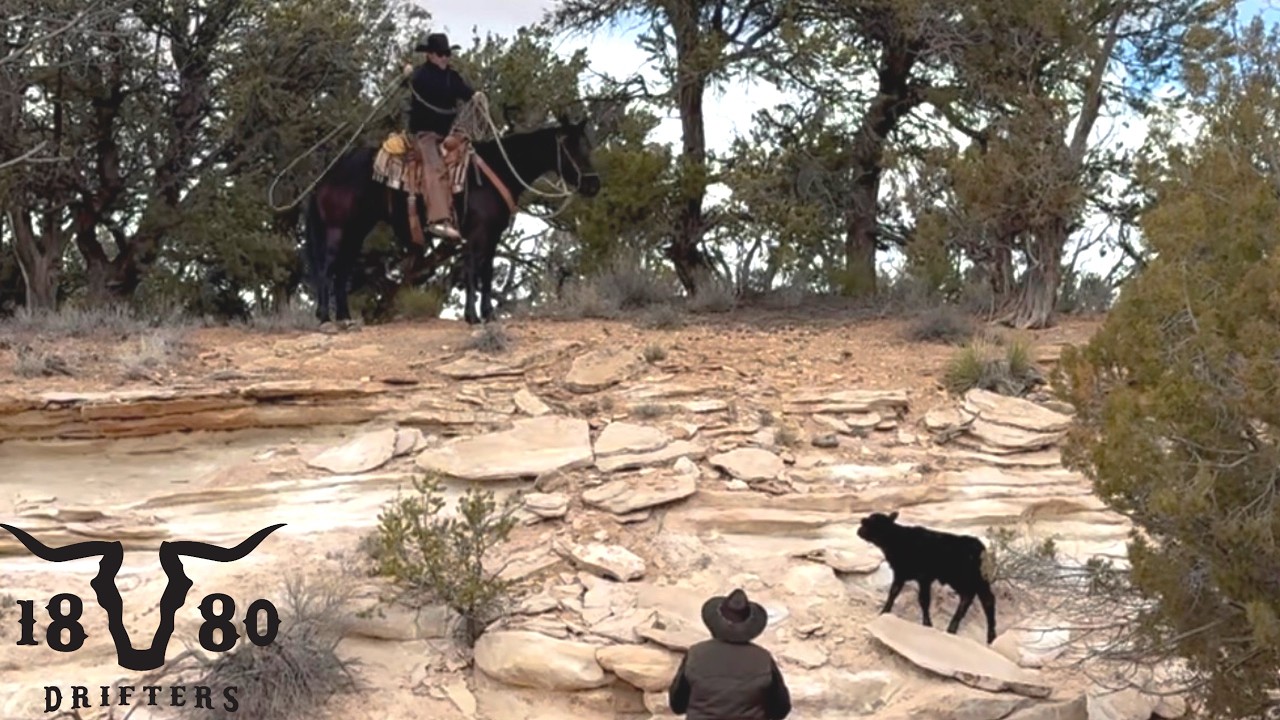 Calving Season On The Ranch! Life Of A Desert Cattle Rancher