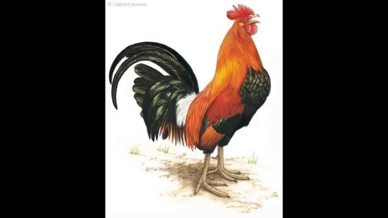 Billy Billy: Wassakara acte 3