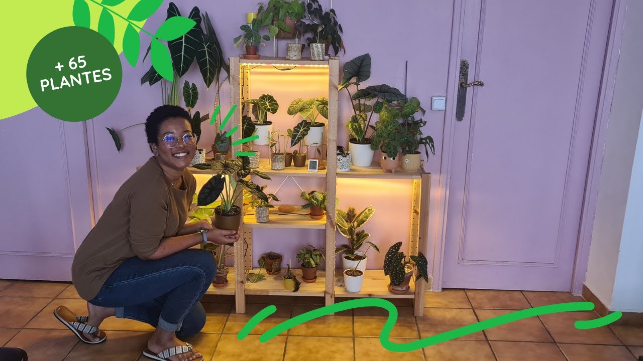 PLANT TOUR une collection d'Alocasia impressionnante